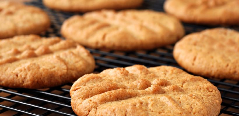 8 Kişilik Bisküvi Kurabiye Tarifi ve Malzemeleri