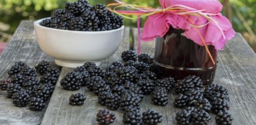 8 Kişilik Böğürtlen Reçeli Tarifi ve Malzemeleri