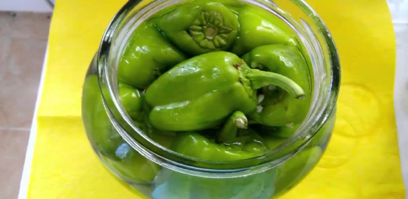 8 Kişilik Dolma Biber Turşusu Tarifi ve Malzemeleri