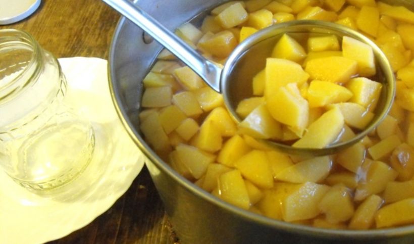 Elma Kompostosu Tarifi ve Malzemeleri