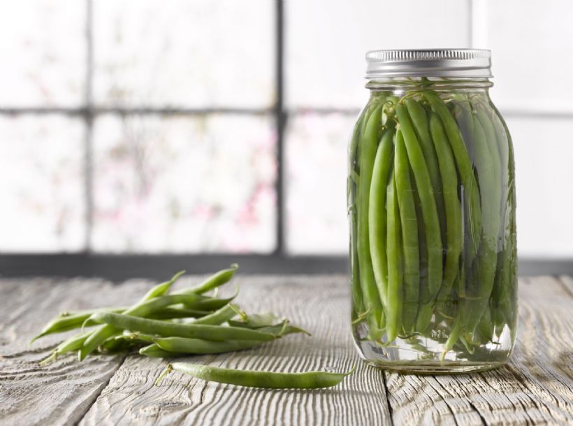 Fasulye Turşusu Tarifi ve Malzemeleri