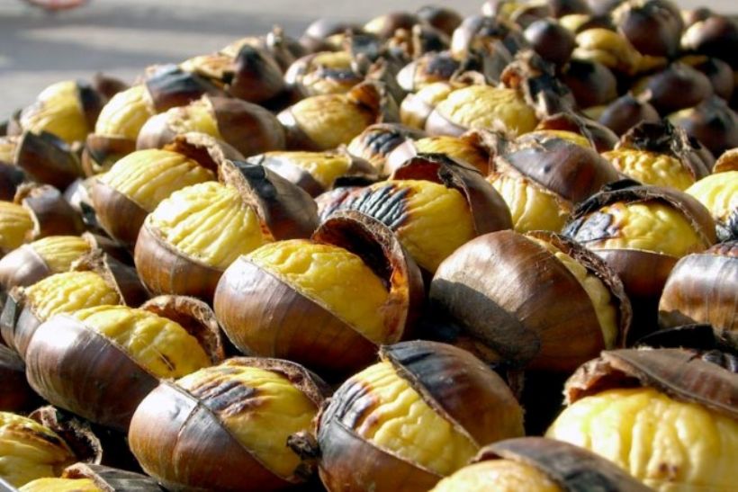 8 Kişilik Fırında Kestane Kebap Tarifi ve Malzemeleri