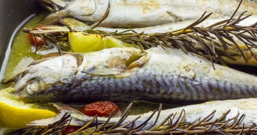 Fırında Uskumru Tarifi ve Malzemeleri