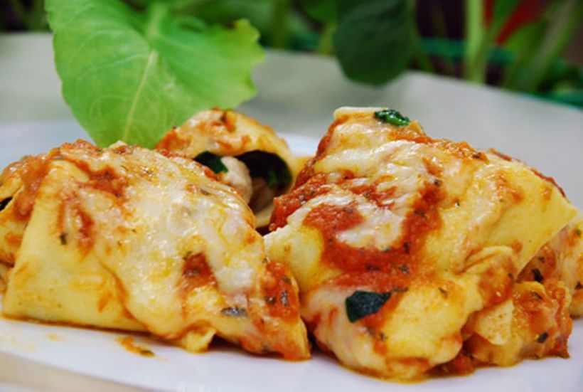 8 Kişilik Garnitürlü Tavuk Sarma Tarifi ve Malzemeleri