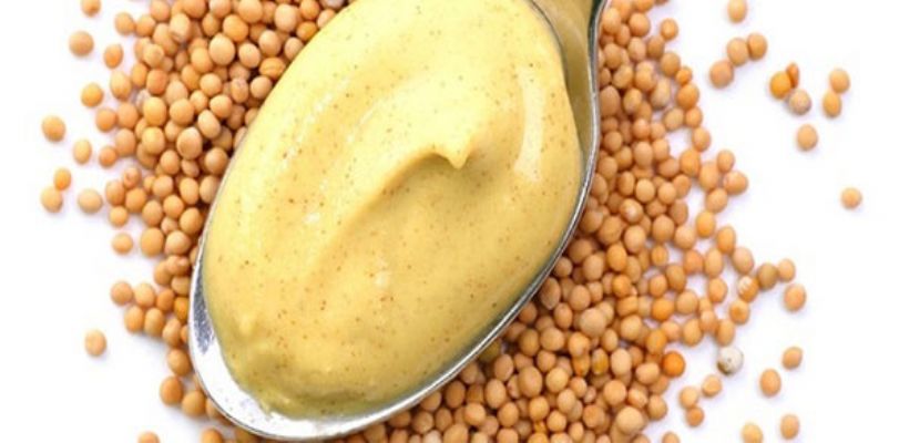 Hardal Sosu Tarifi ve Malzemeleri