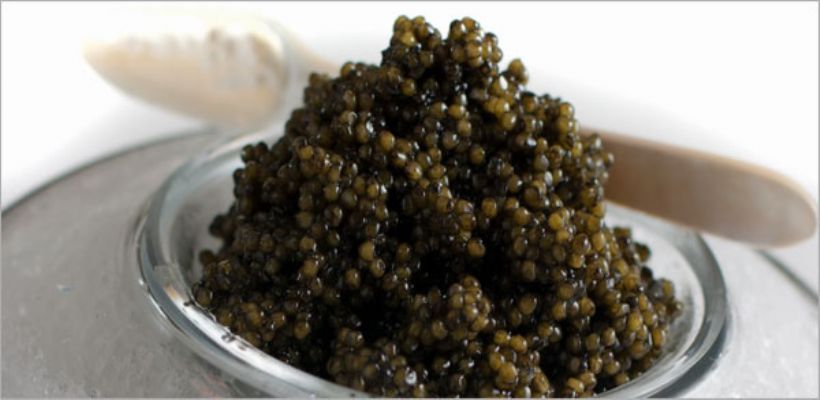 Havyar Tarifi ve Malzemeleri