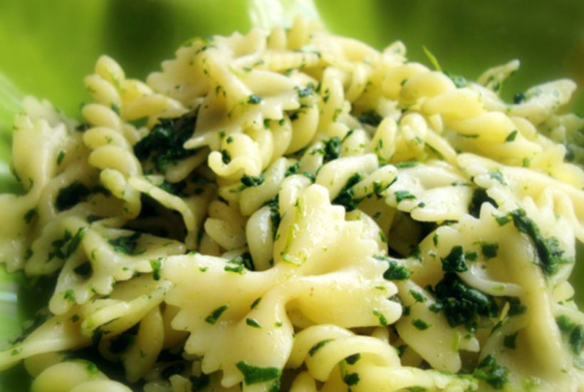 Kremalı Ispanaklı Makarna Tarifi ve Malzemeleri