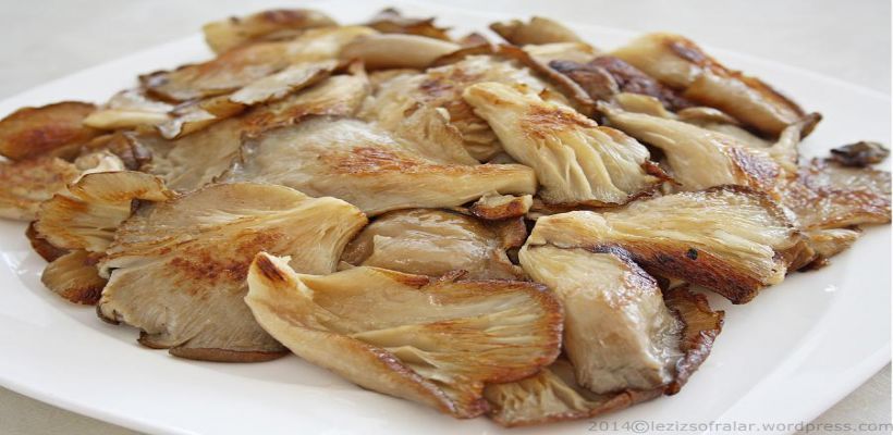 Mantar Kızartması Tarifi ve Malzemeleri