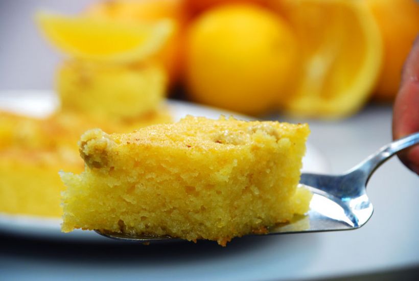 8 Kişilik Portakallı Yoğurt Tatlısı Tarifi ve Malzemeleri