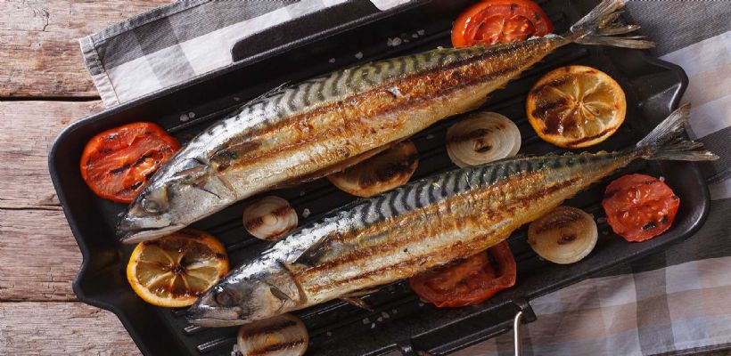 Uskumru Izgara Tarifi ve Malzemeleri