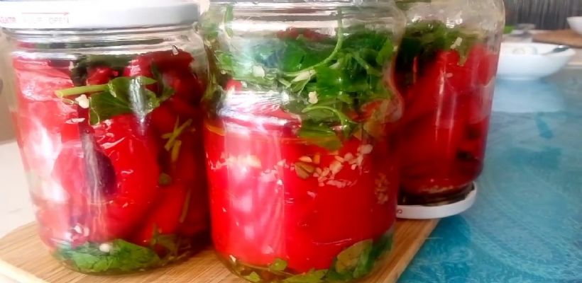 8 Kişilik Yağlı Sirkeli Biber Turşusu Tarifi ve Malzemeleri