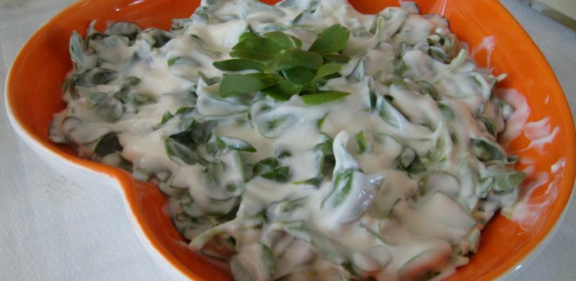 Yoğurtlu Barbunya Salatası Tarifi ve Malzemeleri