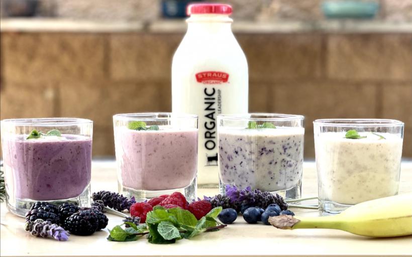 8 Kişilik Ev Yapımı Kefir Tarifi ve Malzemeleri